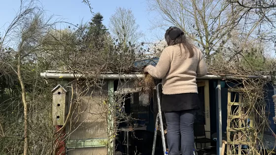 Het nieuwe tuinieren op de volkstuin