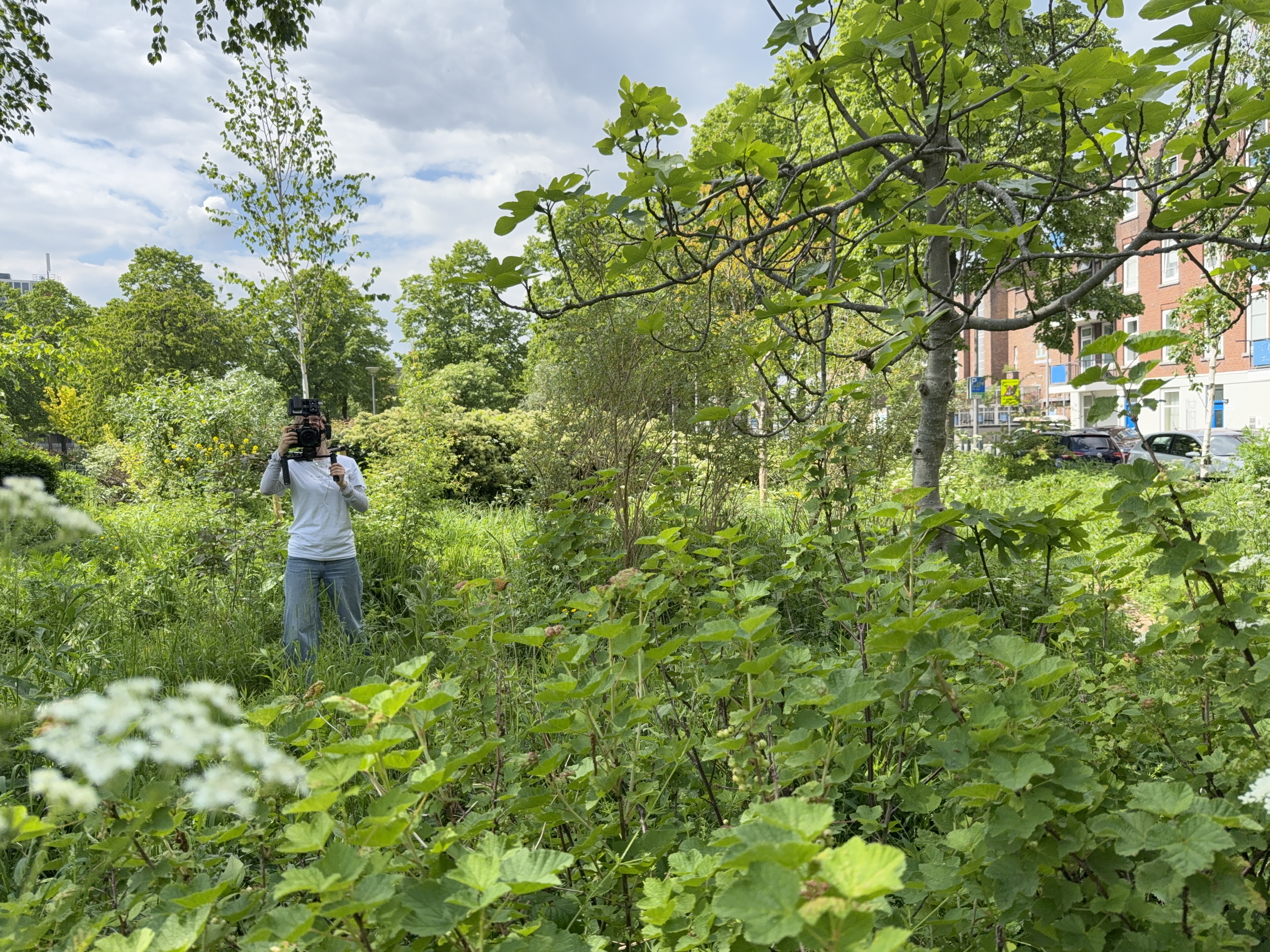 De stadsdokter en de tuinier #1 Buitenspelende kinderen