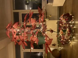 IMG_6596.jpeg