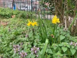 IMG_8550.jpeg
