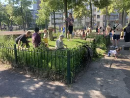 IMG_2421.jpeg