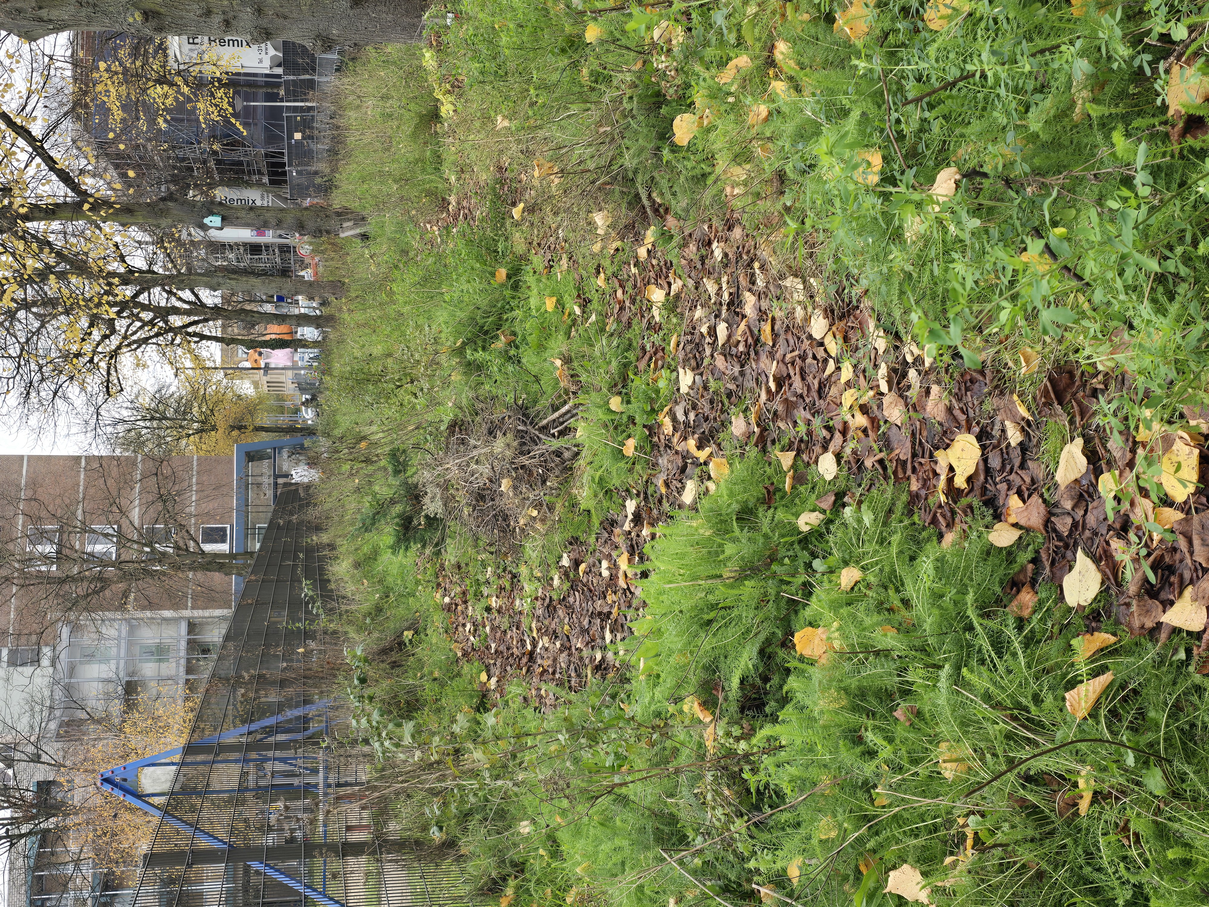 Waarom maak jij je druk om groen in de stad?