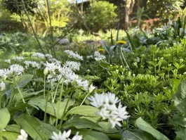 1746281971_IMG_8873.jpeg