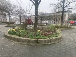 IMG_9170.jpeg