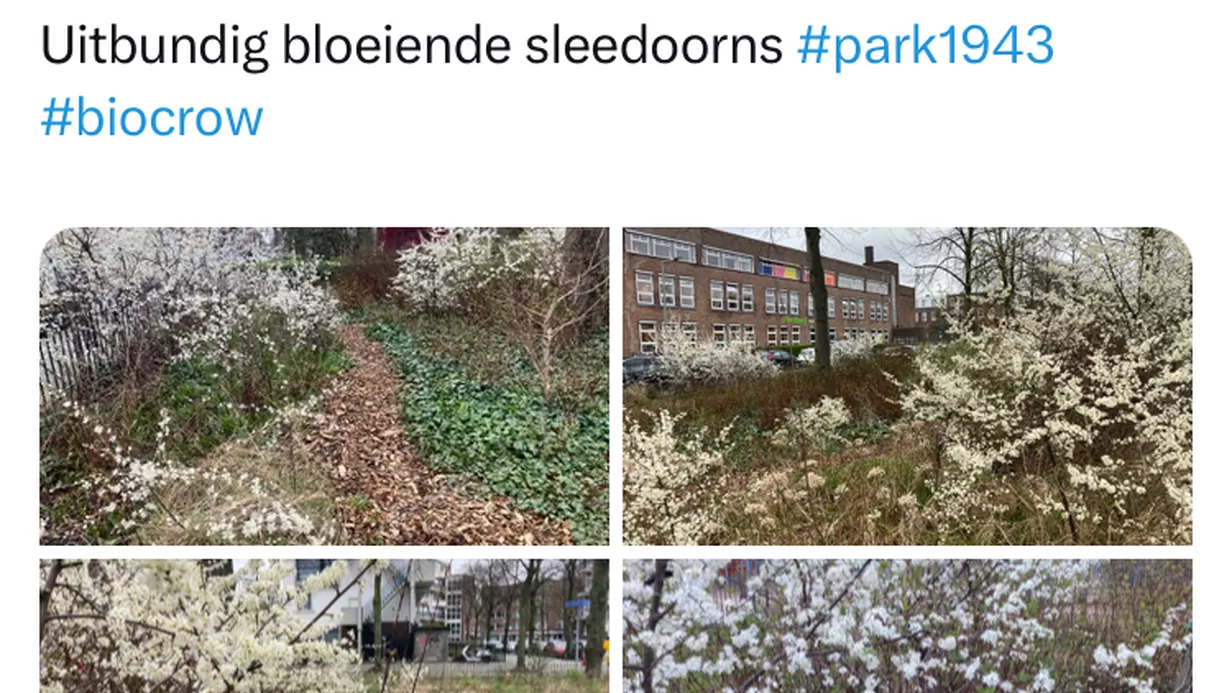 Hashtag Park 1943 (jaarkalender 2022)