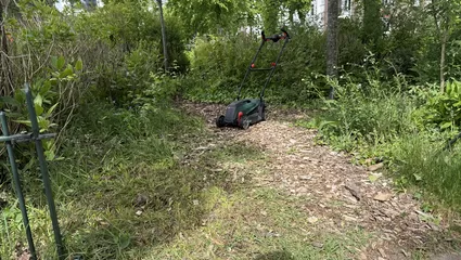 De stadsdokter en de tuinier #1 Buitenspelende kinderen