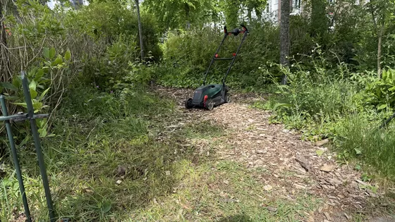 De stadsdokter en de tuinier #1 Buitenspelende kinderen