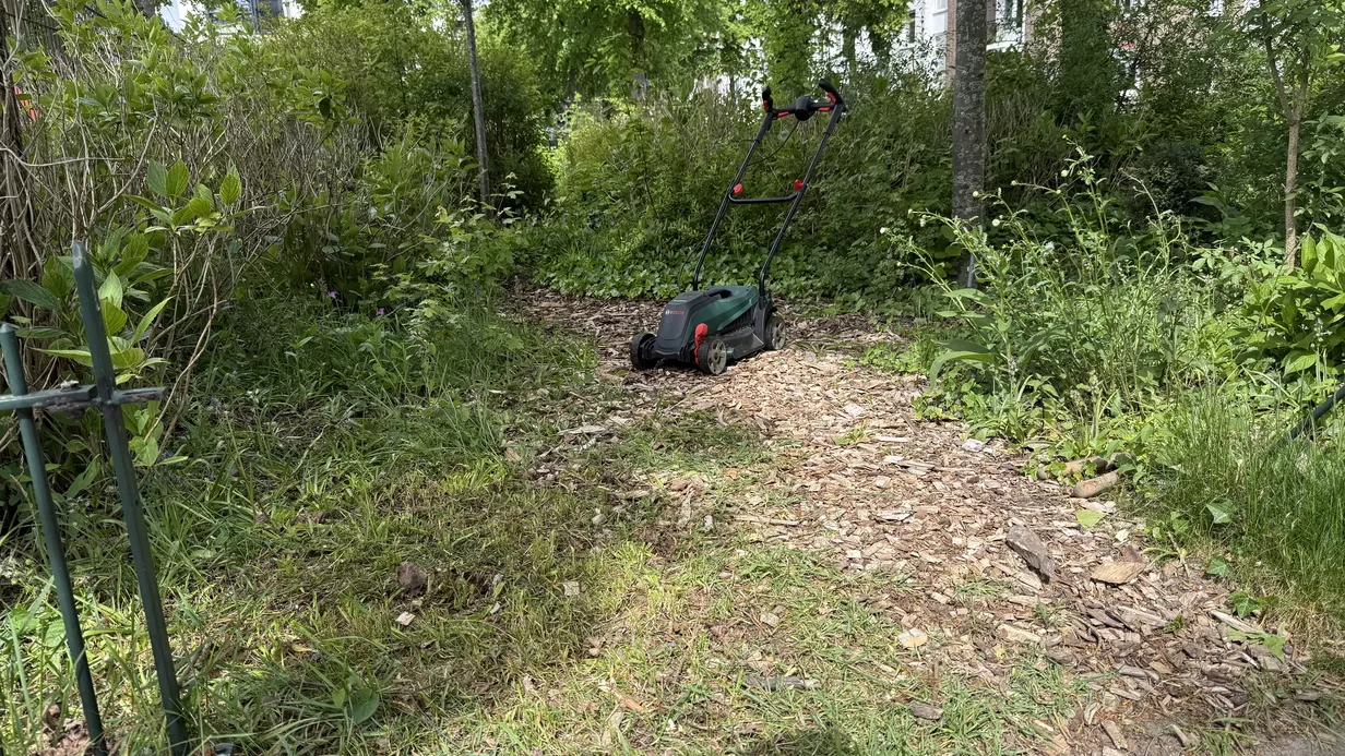 De stadsdokter en de tuinier #1 Buitenspelende kinderen