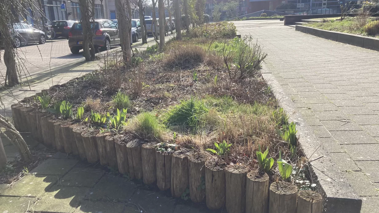 De Club van de Luie Vrolijke Tuinier gaat van start
