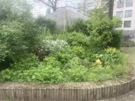 1713362013_IMG_0464.jpeg