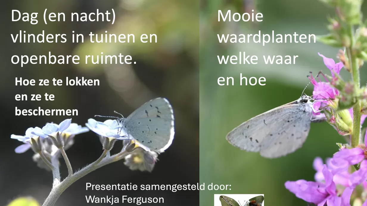 Een kraamkameroverzicht voor de natuurvriendelijke tuinier