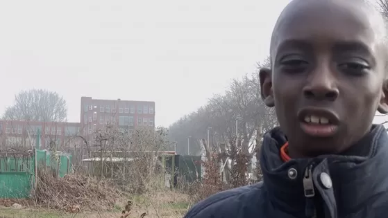 Waarom was Proefpark de Punt zo leuk