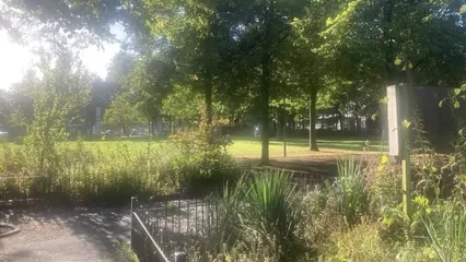 Tuindagboek #15 Hoe word je een luie vrolijke tuinier?