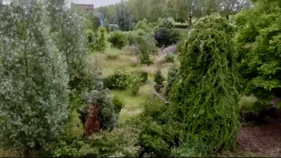 Proefpark de Punt als voorbeeld voor het buurtpark van de toekomst