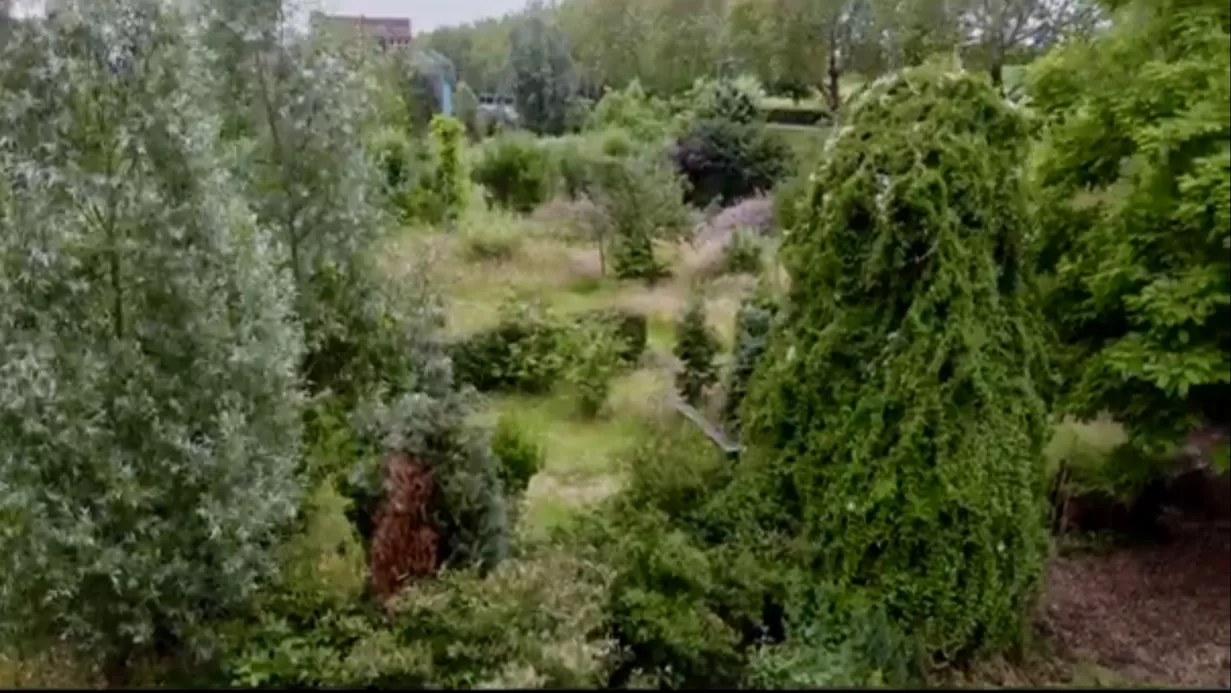 Proefpark de Punt als voorbeeld voor het buurtpark van de toekomst
