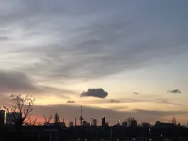 1734776734_c26f8dde-ec22-47f4-825d-4d8137883d54.jpeg