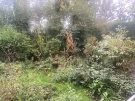1734776734_IMG_4628.jpeg