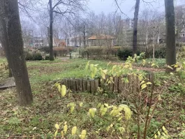 1734776734_IMG_6431.jpeg