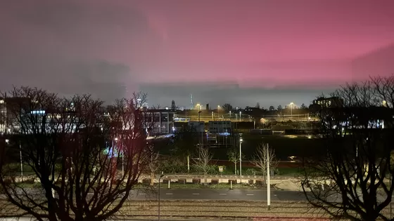 De dagelijkse routine en de vrijheid daarin.