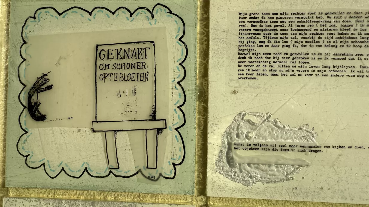 Kunst onthult en verhult
