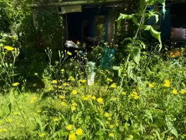 IMG_9902.jpeg