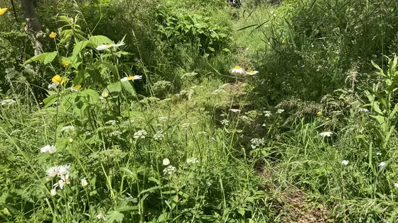 Hybride tuinieren