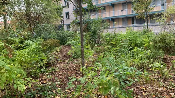 Tuindagboek #20 Winterklaar voor wie?