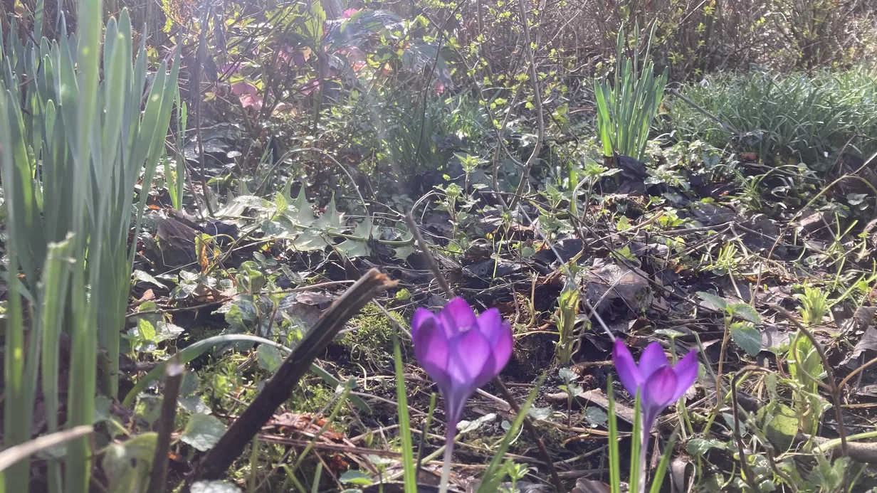 Ecologisch en Creatief Beheer