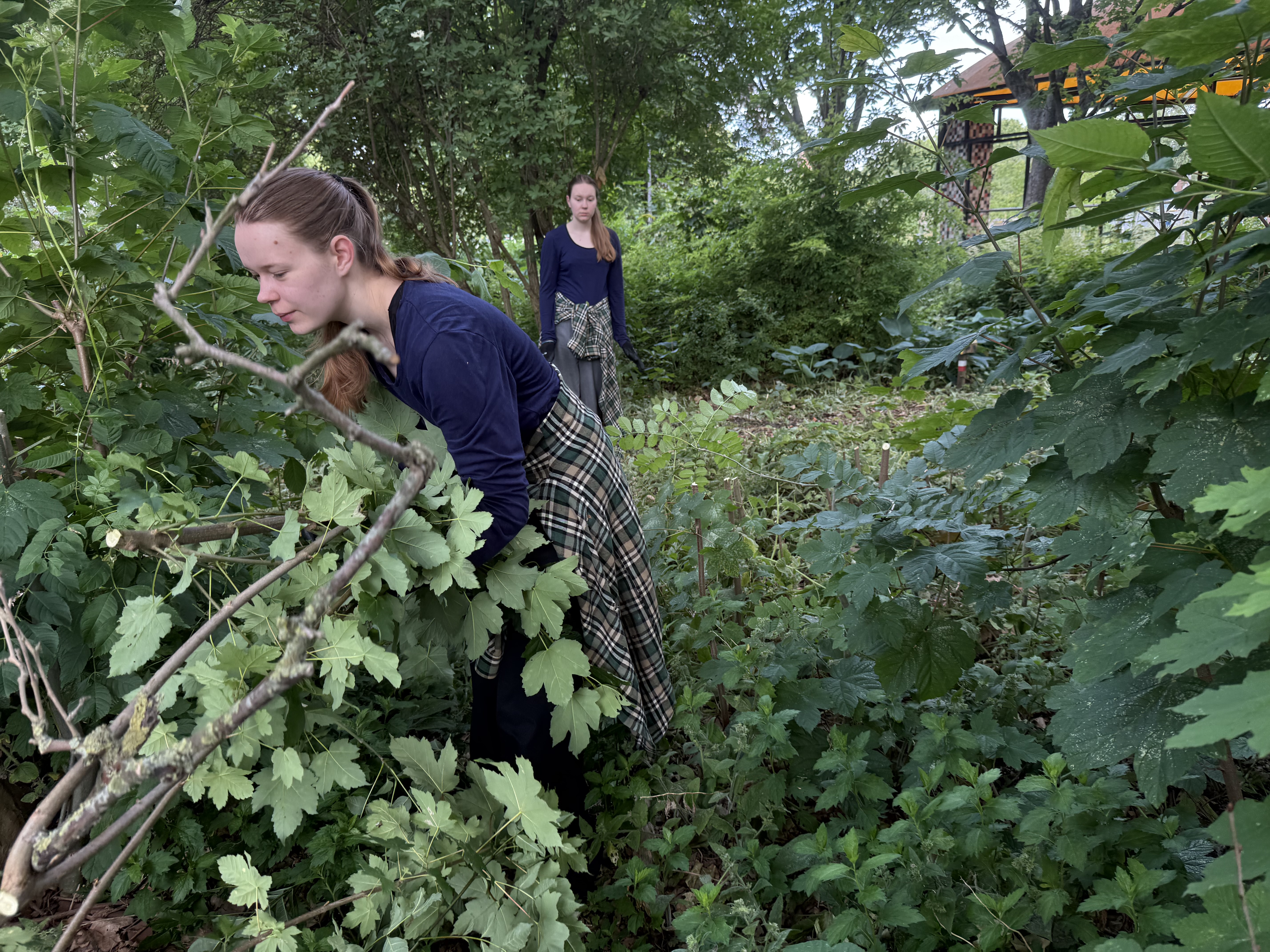 Stadsgeneeskunde; generale effectieve preventie in steden