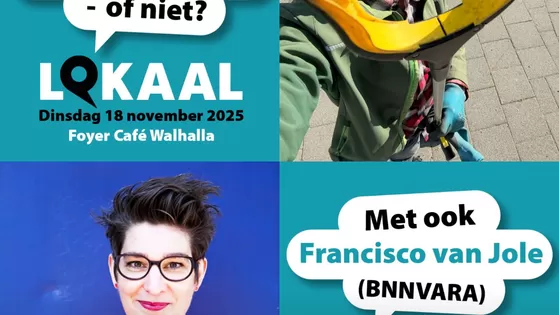 “Werkt die lokale democratie – of niet?”