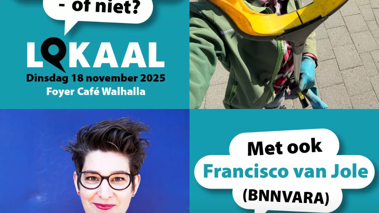 “Werkt die lokale democratie – of niet?”