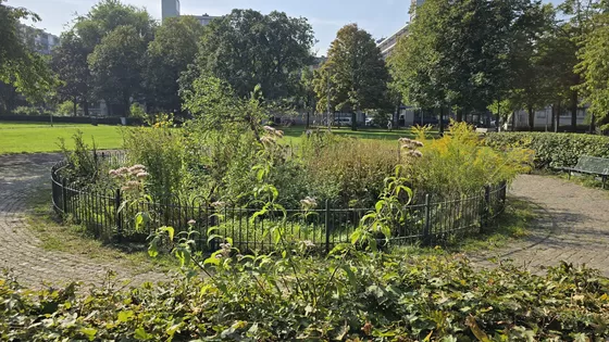 Beetje geiten, wat grond verplaatsen en voor de helft inheemse planten toepassen.