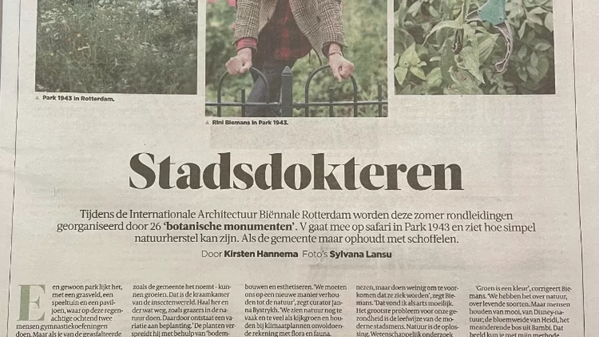 Stadsdokteren