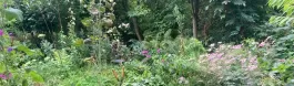 tuinier.jpeg