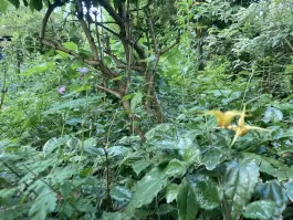 IMG_1369.jpeg