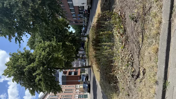Organische Stedenbouw #1 Introductie