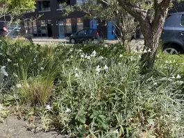 1776781445_IMG_3881.jpeg