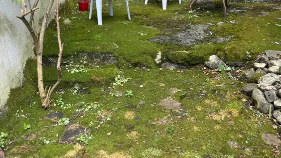 Het luie bewuste universum