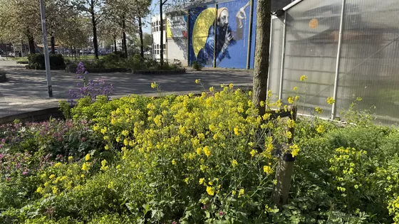 Tuindagboek #27 De natuur als leermeester