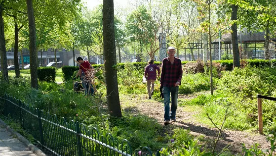 Praktijk opleiding Lui en Vrolijk Tuinieren (LVT)