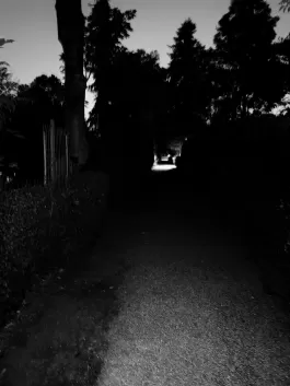 1749887141_IMG_9655.jpeg