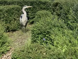 IMG_0616.jpeg