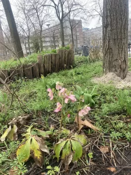 landscape.jpeg