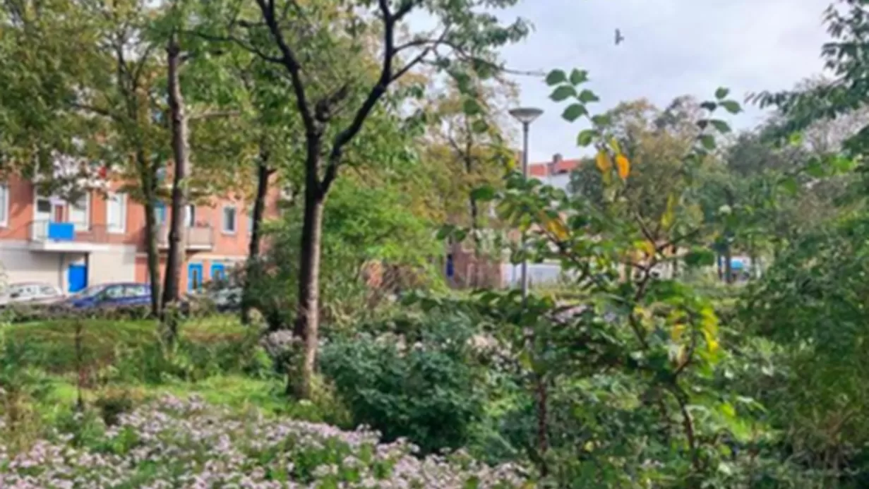 De vrije natuur de ruimte geven
