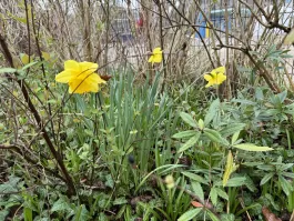 IMG_3314.jpeg